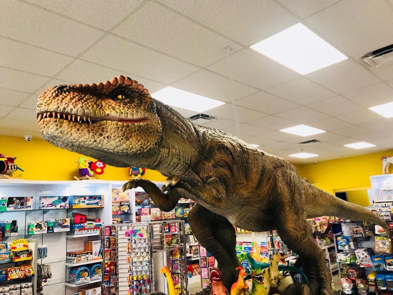 Best Toy store