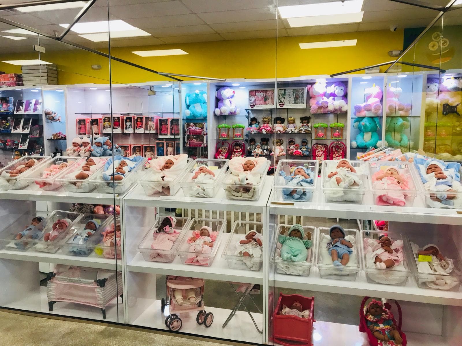 Dolls and Toy store